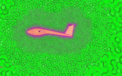 Latest News October 2019