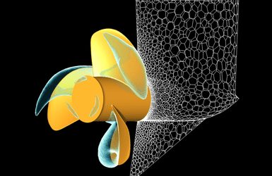 Latest News November 2021